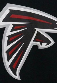Black fabric featuring a stylized logo of a bird in gray and red. The design emphasizes sharp angular lines and a bold profile.
