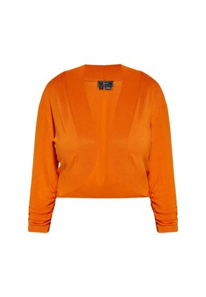 Oranje cropped cardigan met een diepe V-hals, lange mouwen en geraffineerde details. Gemaakt van zachte, elastische stof voor een comfortabele pasvorm.