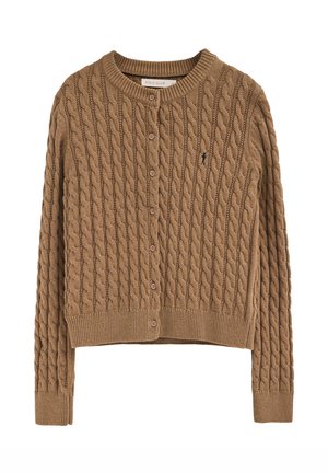 Polo Club BUTTONED - Vest - caramel vigore