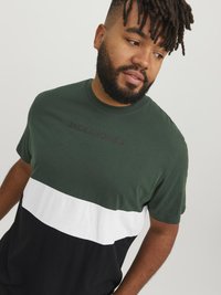 Jack & Jones JJEREID BLOCKING TEE - Apdrukāts T-krekls - mountain view