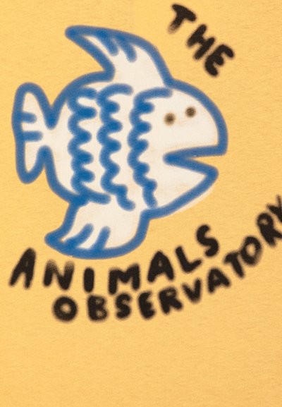 THE ANIMALS OBSERVATORY BIG ROOSTER KIDS UNISEX - Apdrukāts T-krekls - brown