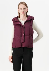 JDY JDYWONDER SHORT HOOD - Liemenė - fig