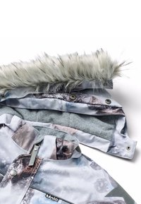 Molo POLARIS - Žieminis kombinezonas - grey