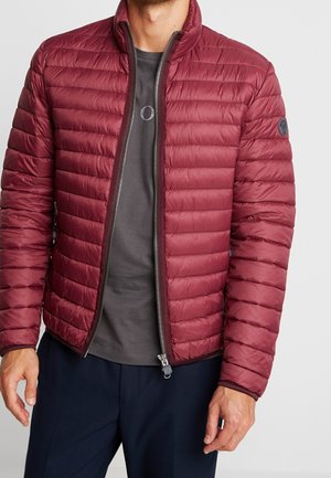 Chaqueta de entretiempo - bordeaux