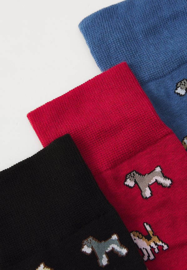 KYOTO DOG 3 PACK - Socks - multicolor3