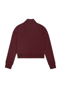 Burgundy kevlar takki, jossa on korkea kaulus, ribatut hihansuut ja sileä pinta. Ominaisuuksiin kuuluu kontrastivärinen ommel hartioiden kohdalla. Takakatsaus.