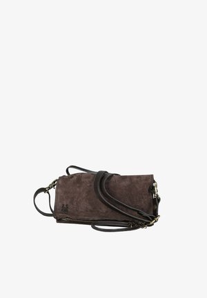 Borsa a tracolla in camoscio marrone con tracolla in pelle, dotata di chiusura a zip e dettaglio con logo in rilievo sul davanti. Forma rettangolare.