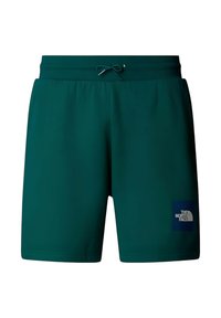 Pantalones cortos color turquesa hechos de un tejido ligero, con una cintura elástica con cordón y un parche de logo en la esquina inferior derecha.