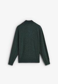 Maglione verde lavorato a maglia con collo alto, maniche lunghe e vestibilità morbida. Presenta una texture liscia e dettagli minimi sul retro.
