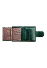 WITTCHEN VERONA COLLECTION - Portafoglio - dunkelgrün