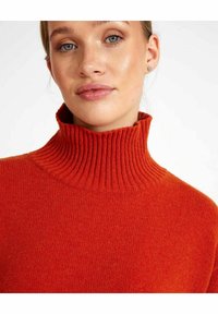 Holebrook VERONIKA TURTLE - Maglione - burnt orange