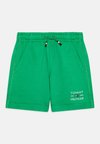 FLAG - Short - radiant green