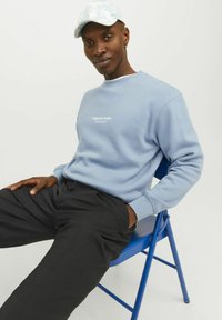 Jack & Jones JORVESTERBRO CREW NECK - Ikdienas džemperis - mountain spring
