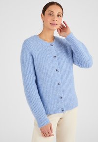 Cardigan lavorato a maglia azzurro chiaro con texture a coste, scollatura rotonda e cinque bottoni marroni sul davanti. Maniche lunghe con leggero svaso.
