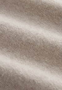 Next CREW NECK - Pulover - camel natural