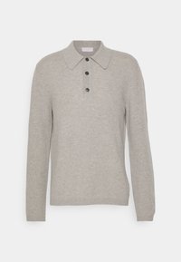 Maglione grigio chiaro con collo a camicia, maniche lunghe e un'apertura con bottoni caratterizzata da bottoni neri. Texture morbida e forma aderente.