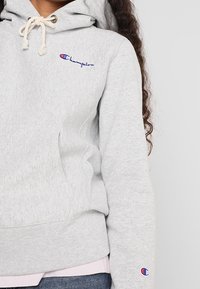Gray hoodie made of soft fabric, featuring a kangaroo pocket, drawstring hood, and embroidered logo on chest and sleeve.
