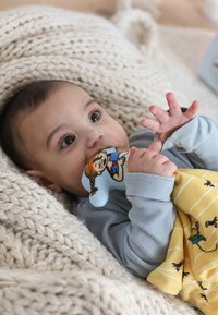 Pippi Longstocking LANGSTRUMPF - Doudou - bunt c