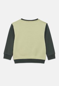 Felpa a maniche lunghe con scollo rotondo, corpo verde chiaro e maniche, colletto e orlo verde scuro, mostrata di spalle su sfondo bianco.