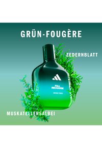 Miniatuurafbeelding 5