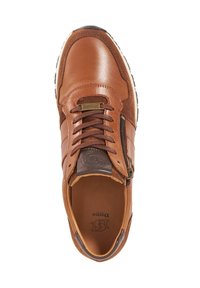 Brown leather sneaker with a smooth texture, white rubber outsole, and side zipper feature. Embossed logo on the tongue and contrasting accents.