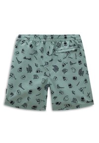Vans PRIMARY PRINT ELASTIC WAIST BOARD - Plavecké šortky  - iceberg green