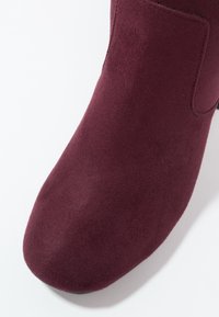 Anna Field Overkneeskor - bordeaux