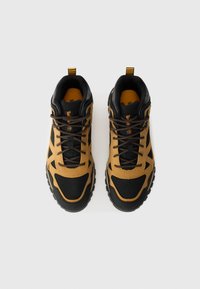 Pair of tan and black hiking boots with laces, viewed from above on a white background.