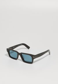 Unselected, shiny dark brown/blue