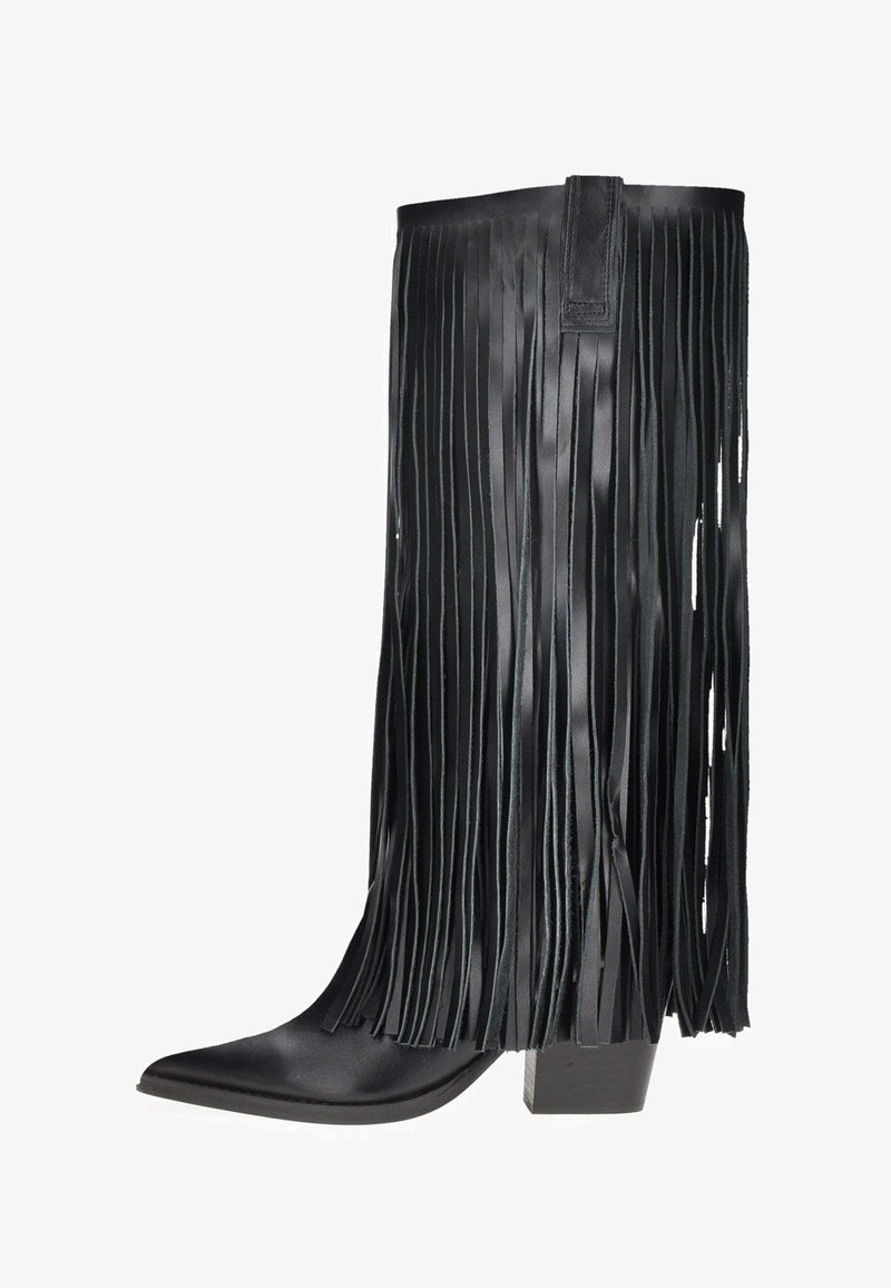 Stivale da cowboy in pelle nera con lungo dettaglio di frange, punta affusolata, tacco a blocco e texture liscia. La parte superiore è elegantemente progettata.