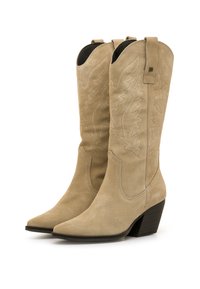 Botas vaqueras de ante color topo con punteras en punta, diseños cosidos en los cañones y plantillas negras. Presentan un tacón apilado y tiradores.