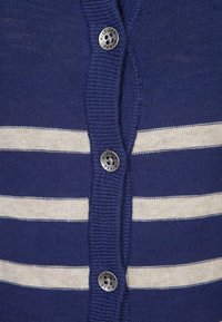 Cardigan blu navy con righe verticali crema, realizzato in tessuto a maglia, con cinque bottoni rotondi argentati che mostrano il logo "HILFIGER DENIM".