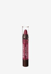 Burt's Bees GLOSS LIP CRAYON 2,83G - Lippenstift - pacific-coast