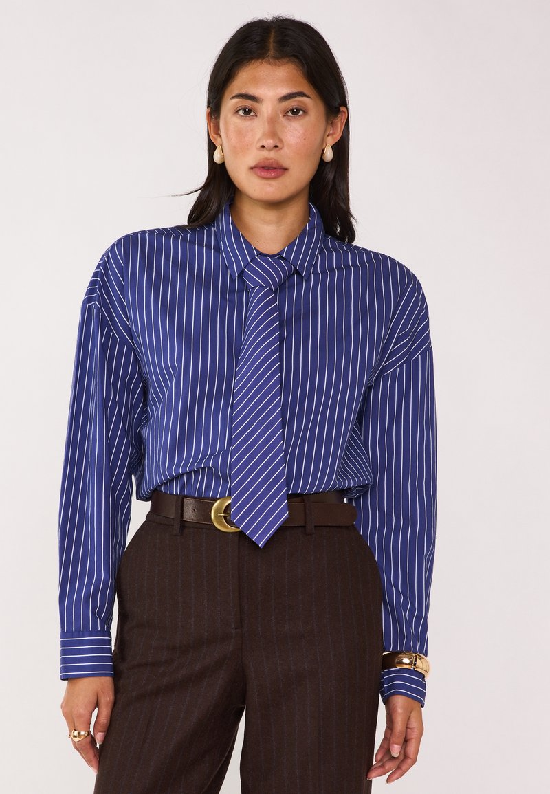 Camicia a righe blu con maniche lunghe e cravatta, indossata con pantaloni marroni a righe sottili. I dettagli includono un colletto e maniche con polsini.