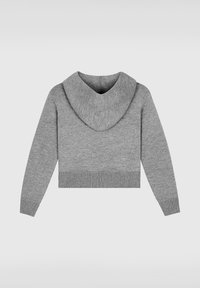 Pull gris court avec capuche, présentant des poignets et un ourlet côtelés. Texture lisse, sans motifs ni embellissements visibles.