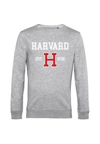Grauer Pullover mit weißem "HARVARD"-Text, rotem "H"-Logo und "EST 1636" darunter gedruckt. Rundhalsausschnitt-Design mit langen Ärmeln und gerippten Bündchen.