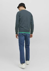 Jack & Jones JORSILVERLAKE - Sudadera - magical forest
