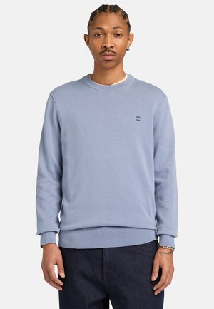 Ung mand med fletninger iført lys blå sweater med rund hals og mørke jeans, stående mod en ensfarvet hvid baggrund.