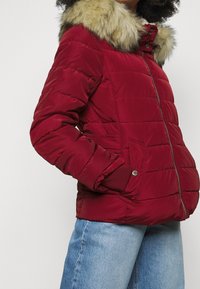 ONLY Petite Vinterjakker - dark red