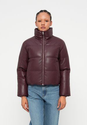 SHORT PUFFER - Winterjacke - bordeaux