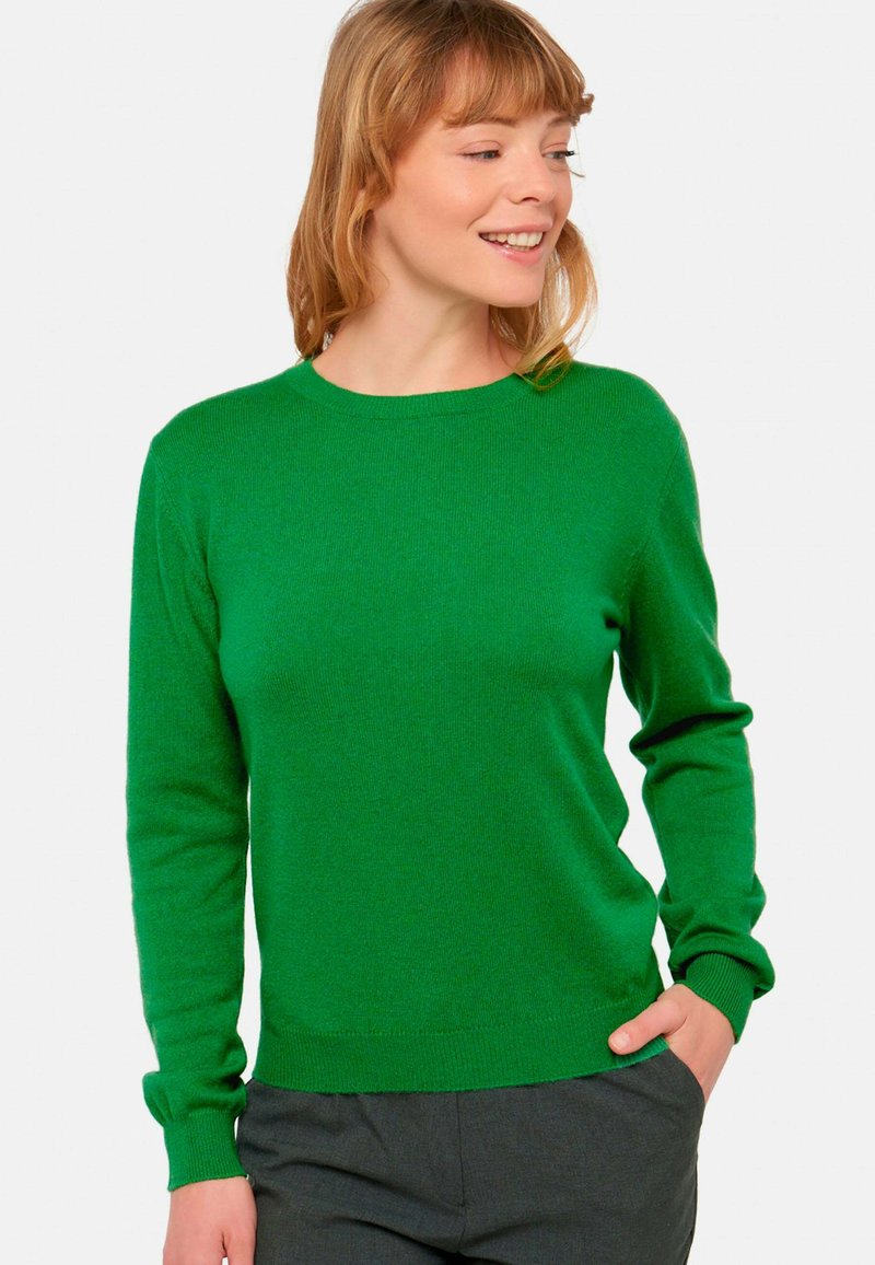 Mahogany RAISON - Strickpullover - basil