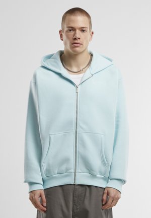 SMALL SIGNATURE ESSENTIAL HOODIE - Sweatjacke - light blue