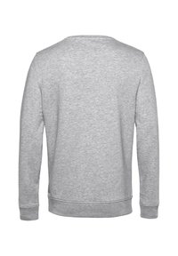 Grå sweatshirt med långa ärmar, rund halsringning och ribbade cuffs. Mjuk textur och en enkel design, utan mönster eller detaljer.