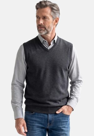 Mann mit grauem Haar und Bart, der einen dunkelgrauen ärmellosen Pullover über einem hellgrauen Hemd und blauen Jeans trägt und zur Seite schaut.
