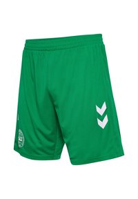 Gröna sportshorts i lättviktig tyg, med dragsko i midjan, två vita chevron-accenter och en cirkulär logo på ena sidan.