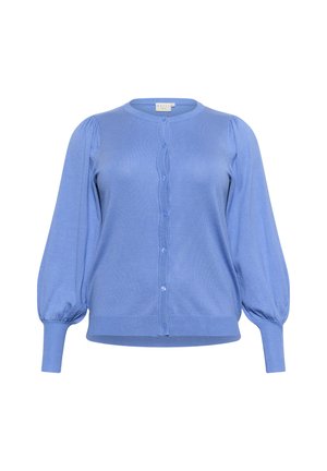 Light blue cardigan with a round neckline, long puffed sleeves, and a button-down front. Knitted texture with ribbed hem and cuffs.