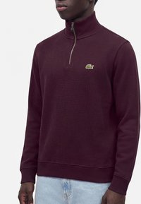 Homme portant un pull bordeaux à manches longues avec col à demi-fermeture éclair et petit logo crocodile vert brodé sur la poitrine.