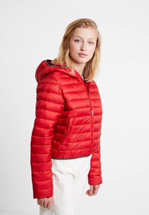 PADDED PUFFER WITH LOGO BINDING - Light jacket - barbados cherry