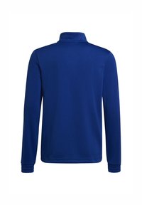 Polo a maniche lunghe di un blu reale uniforme, realizzato in tessuto liscio. Presenta un colletto rialzato e polsini a coste. Nessun motivo o dettaglio visibile.