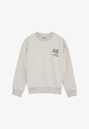 BLUE RIDGE - Športni pulover - light grey